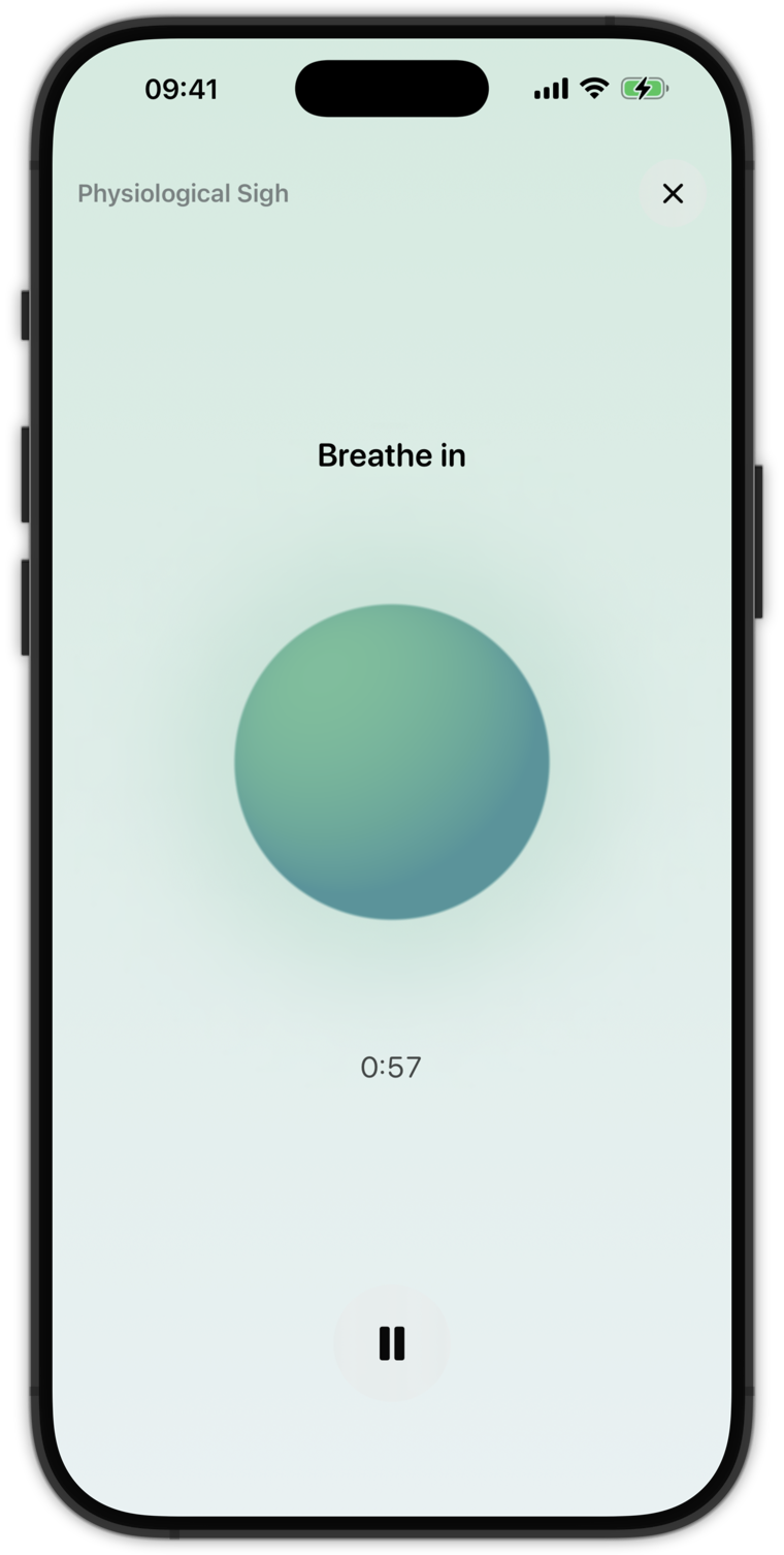 A breathing session — a soft orb to breathe along with, eyes closed.